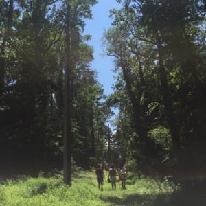 Meet your Posher, Summer